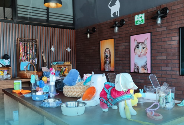 KI-Pet’s Centro Veterinario Narvarte Oriente - foto 4